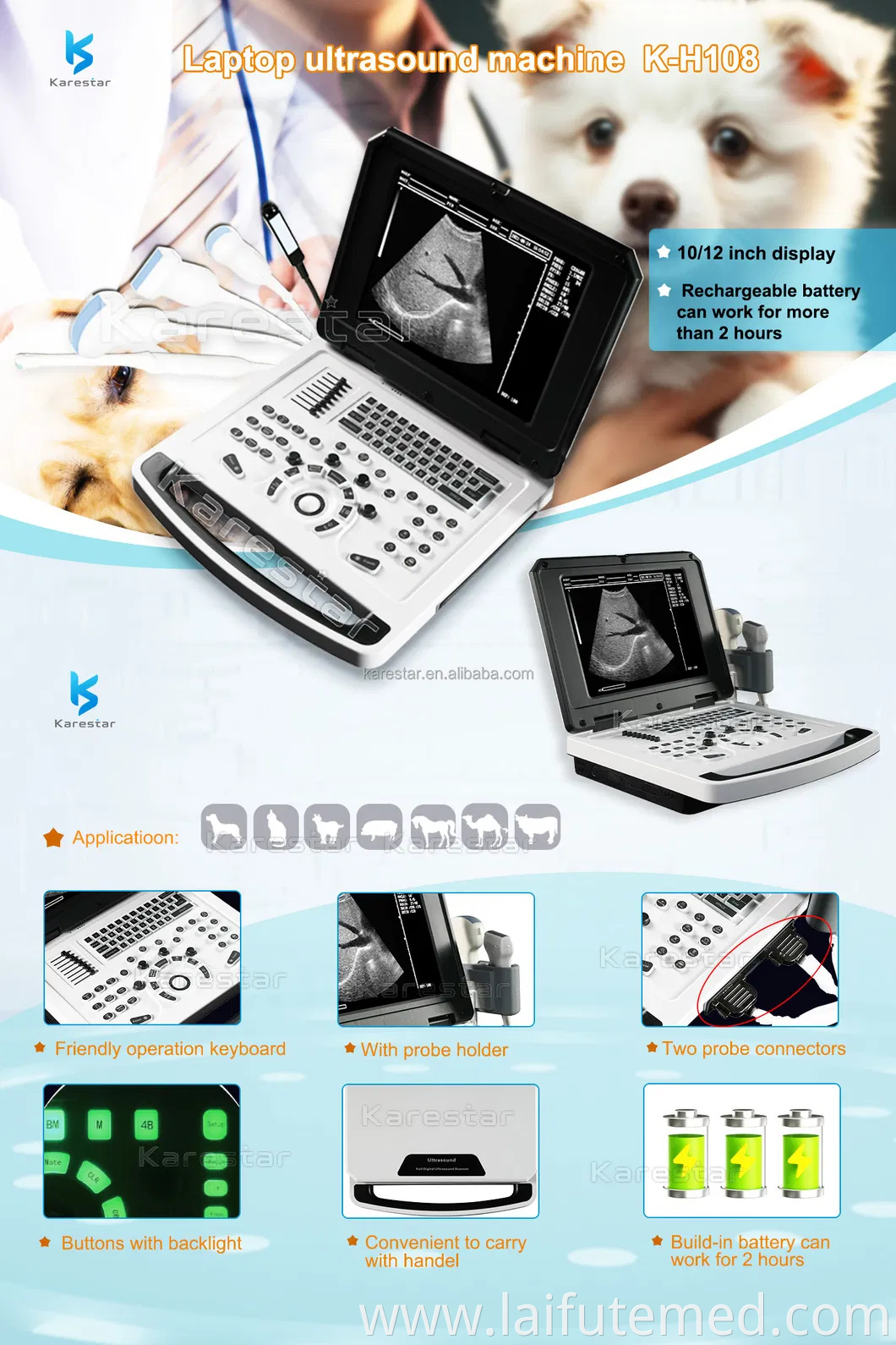 Veterinary Digital Ultrasonic Diagnostic Imaging System Portable Laptop B/W Handheld Ultrasound